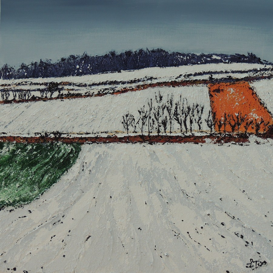 Campagne Cournonnaise Enneigée Acrylique 70 X 70 - Mars 2013